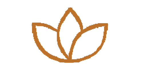 Complete Course Access